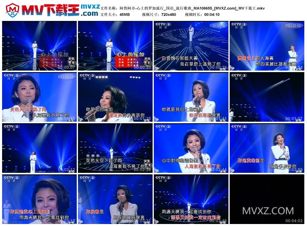 阿鲁阿卓-心上的罗加流行_国语_流行歌曲_MA106655